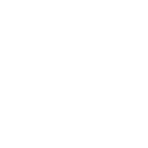 chevrolet-white