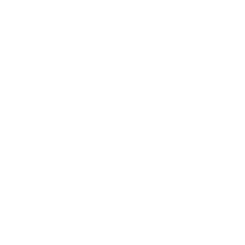 ford-white
