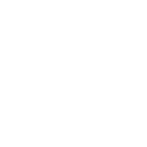 fiat-v2.png